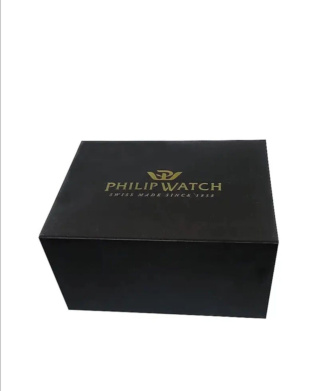 Orologio Uomo Philip Watch R8253214001